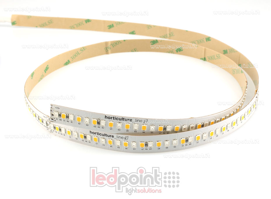 Tira de led 2835 24V IP65 GROW 204led/m