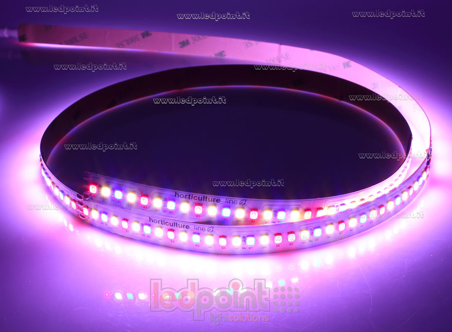 Tira de led 2835 24V IP65 GROW 204led/m