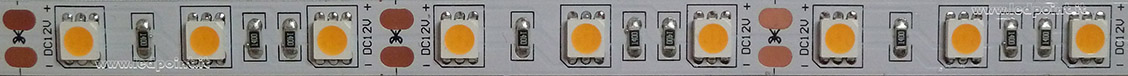 Tira de led 5050 12V IP20 2600-2800K 60led/m F52-260-60521 Tira de led 5050 12V IP20 2600-2800K 60led/m F52-260-60521