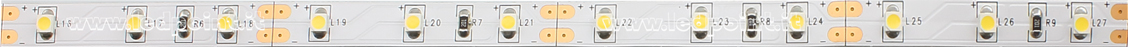 Tira de led 3528 12V IP20 4000-4500K 60led/m Tira de led 3528 12V IP20 4000-4500K 60led/m
