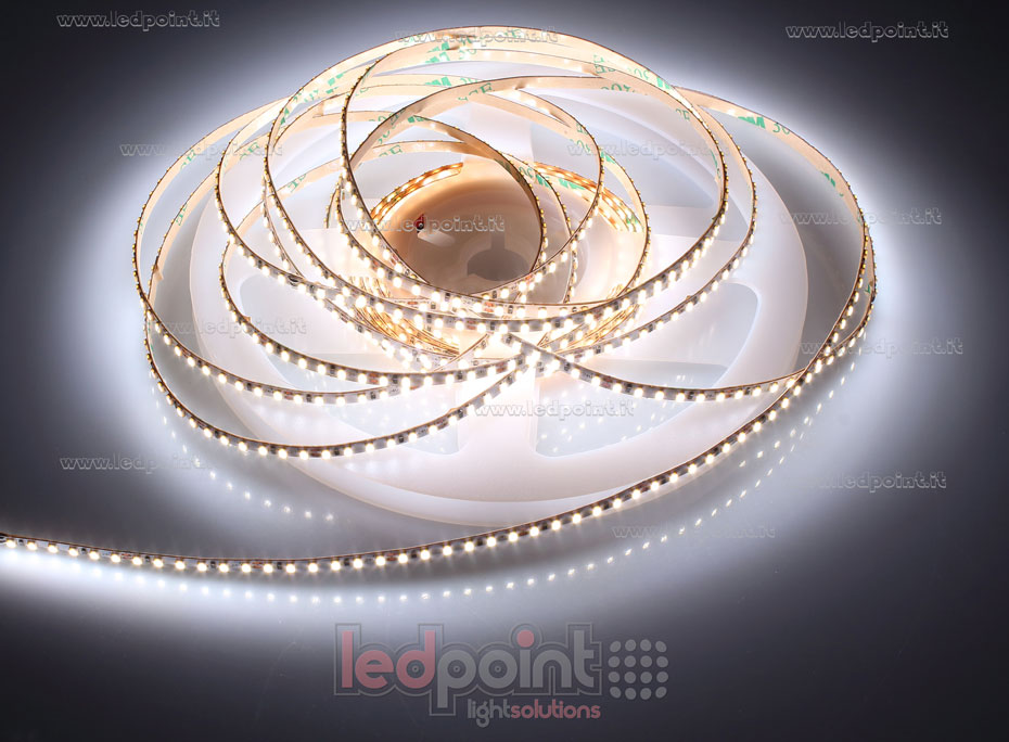 Tira de led 2216 24V IP20 3900-4250K 240led/m