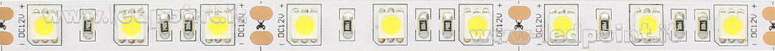 Tira de led 5050 12V No 4250-4500K 60led/m F52-425-60521 Tira de led 5050 12V No 4250-4500K 60led/m F52-425-60521