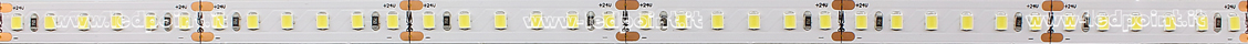 Tira de led 2835 24V IP20 5700-6000K 120led/m F52-570-120822 Tira de led 2835 24V IP20 5700-6000K 120led/m F52-570-120822