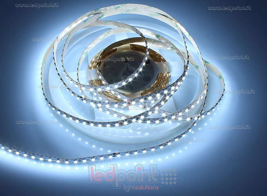 Tira de led 2835 24V IP20 6000-6500K 120led/m