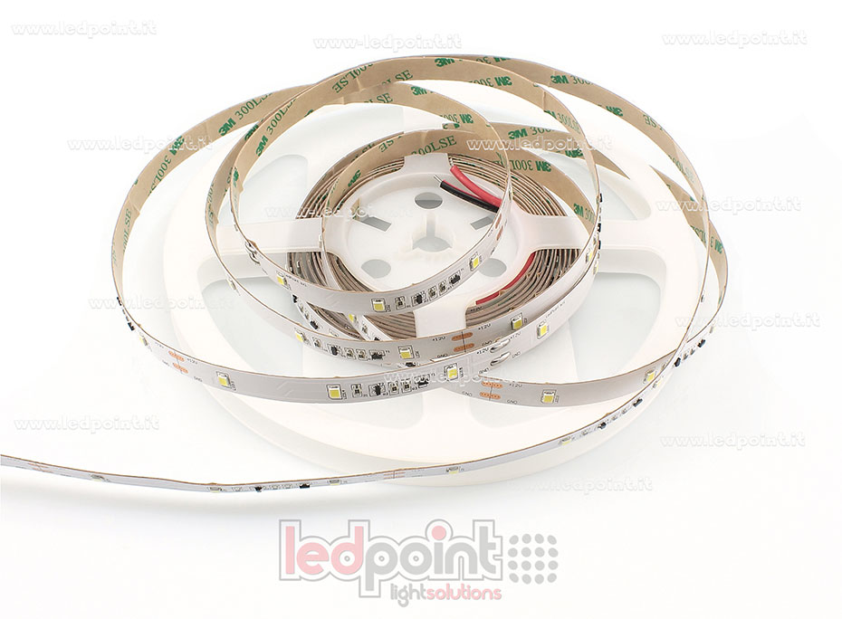 Tira de led 2835 12V IP20 6000-6500K 30led/m