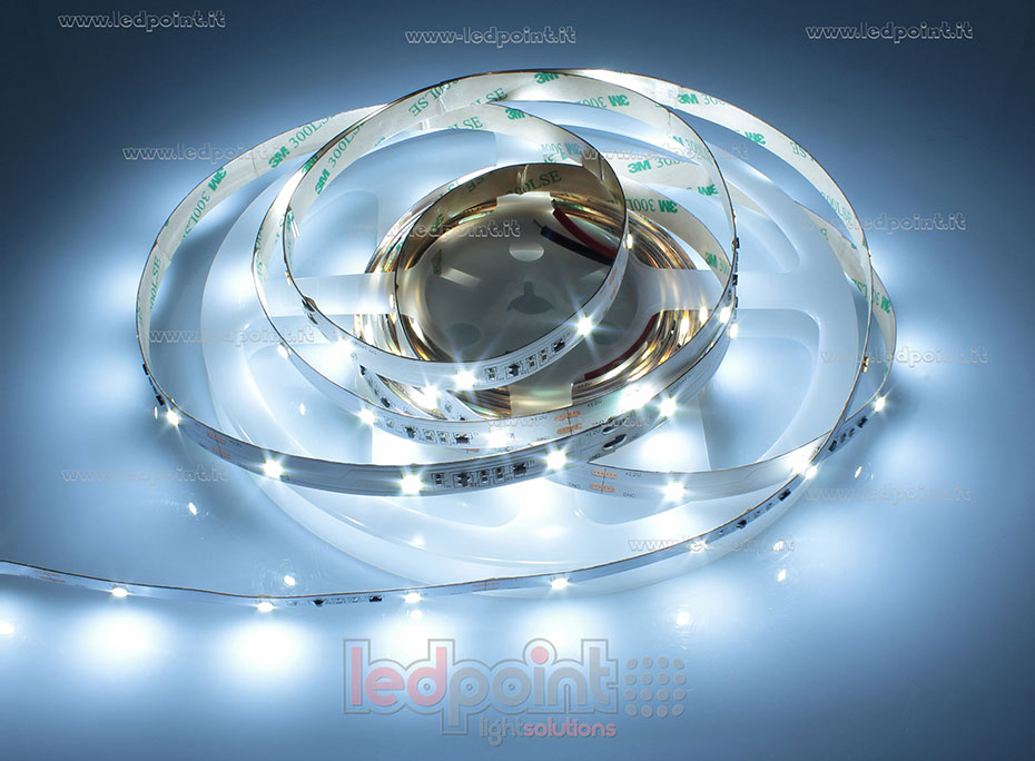 Tira de led 2835 12V IP20 6000-6500K 30led/m