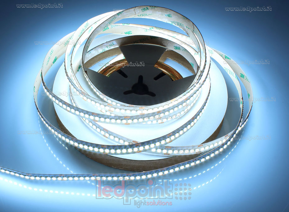 Tira de led 2835 24V IP20 6100-6600K 240led/m