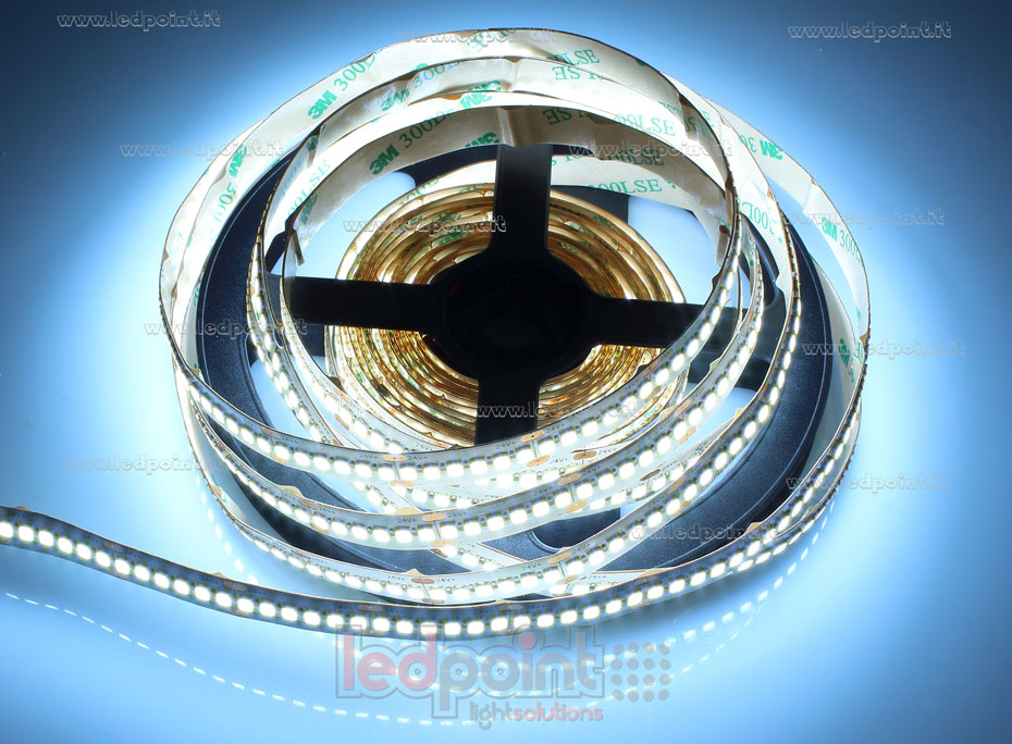 Tira de led 2835 24V IP20 6300-6800K 240led/m