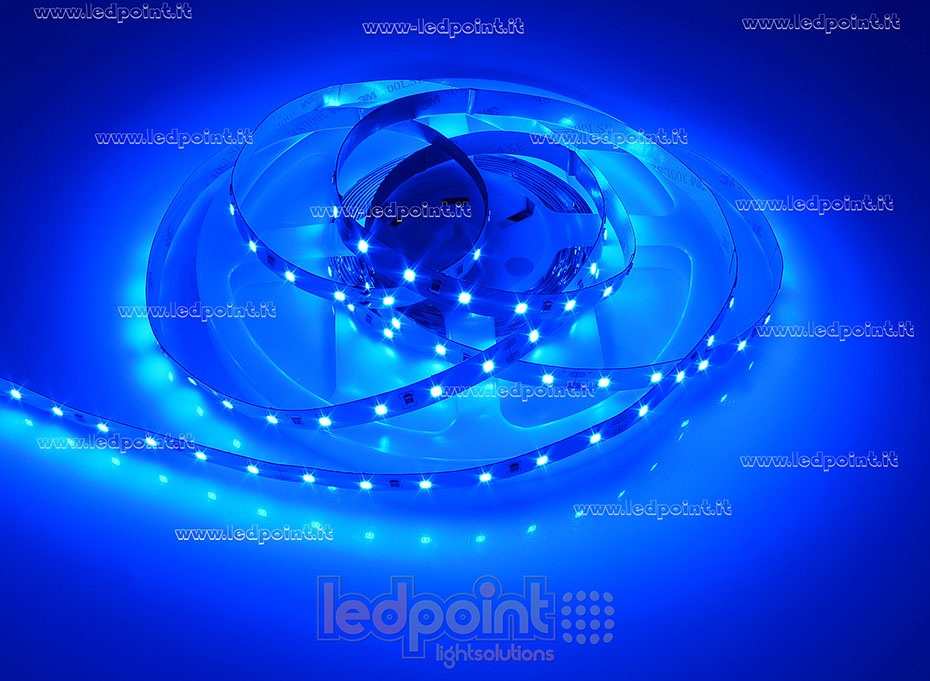Tira de led 2835 24V IP20 460-465nm 60led/m