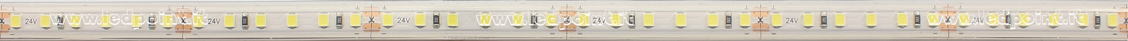 Tira de led 2835 24V IP65 6500K 3 step 120led/m
