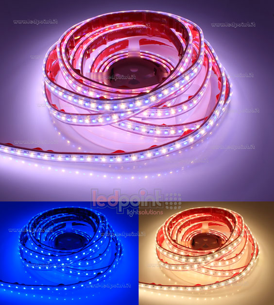 Tira de led 3838+2835 24V IP65 3000K 3step 70+70led/m