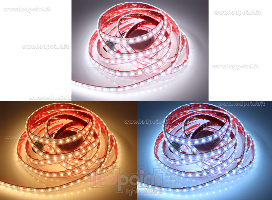 Tira de led 3838+2835+2835 24V IP65 RGBCCT 70+70+70led/m
