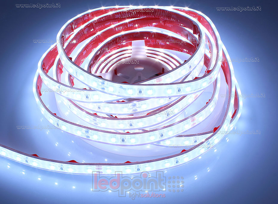 Tira de led 2835 24V IP67 6000K 60led/m