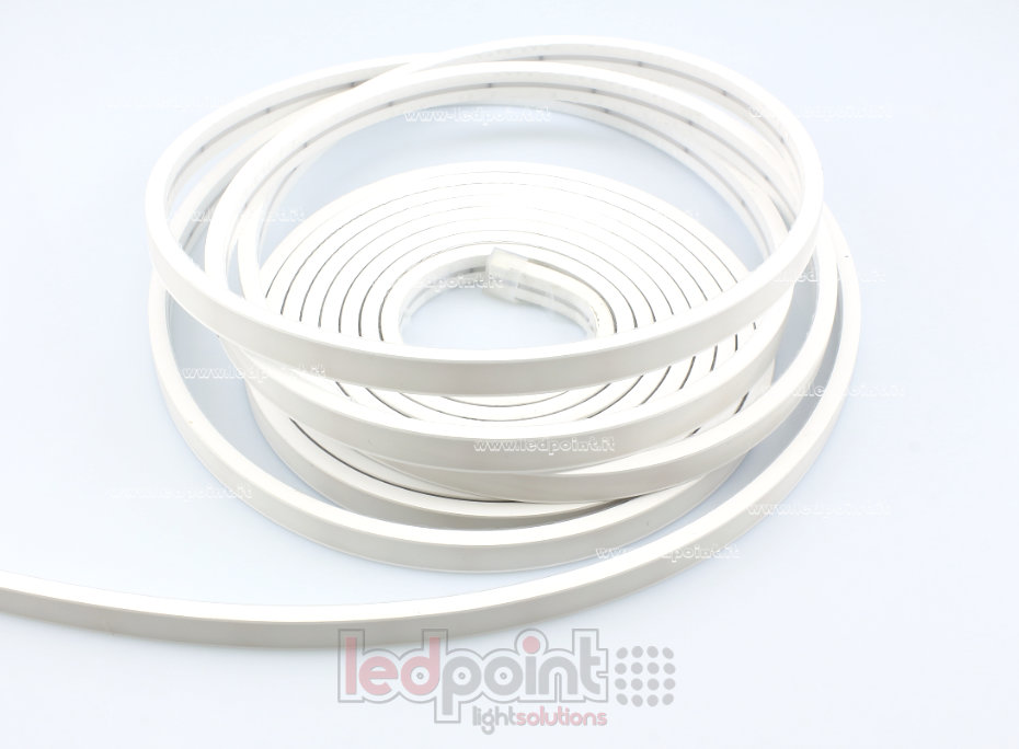 Tira de led 2025 24V IP67 460-465nm 264led/m