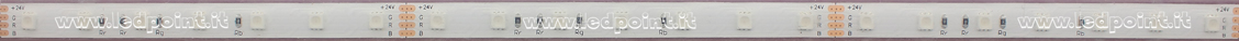 Tira de led 3838 24V IP67 RGB 70led/m