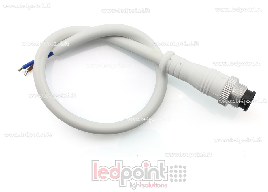 Conector macho 2pin IP67 0,3m