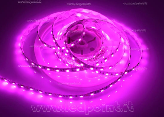 Ledpoint S.r.l. | Tira de led 5m rosa 5050 60led/m 12V