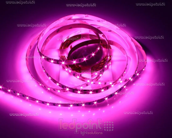 Imagen de Tira de led 5m rosa 2835 60led/m 12V 7,2W/m