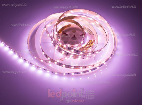 Imagen de Tira de led 5m rosa para mostradores de carnes 2835 60led/m 12V 14,4W/m