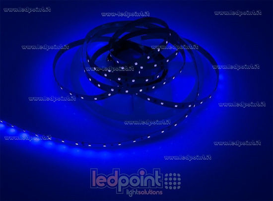 Imagen de Tira de led 5m UV 380nm 2835 60 led/m, 24V 13,3W/m