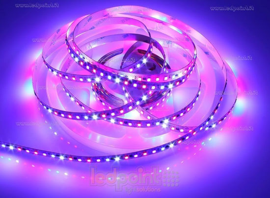 Imagen de Tira led 5m growing 2835 120 led/m 24V 24W/m control de corriente