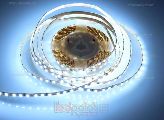 Imagen de Tira de led 5m blanco cálido 6000-6500K 2835 120led/m Honglitronic 12V 10W/m, PCB 5mm