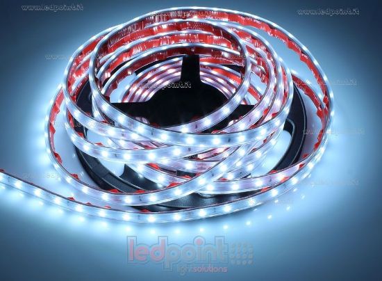 Imagen de Tira de led 5m blanco frío 6500K 3step 2835 60led/m 24V 4,8W/m, IP65 tubo de silicona extruído bordes llenos interior vacío