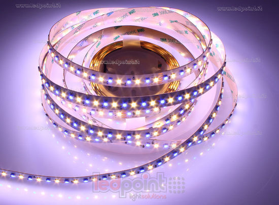 Imagen de Tira de led 5m RGB 3838 + blanco cálido 3000K 3step 2835 140led/m Honglitronic 24V 28,8W/m