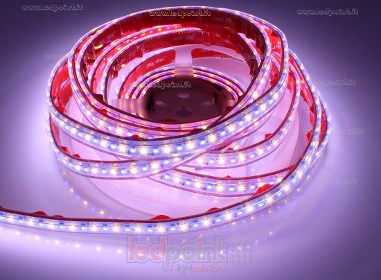 Imagen de Tira de led 5m RGB 3838 + blanco cálido 3000K 3step 2835 140led/m Honglitronic 24V 28,8W/m, IP65 tubo de silicona extruído bordes llenos interior vacío