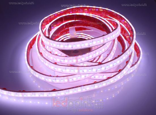 Imagen de Tira de led 5m RGB 3838 + blanco cálido 3000K 3step 2835 140led/m Honglitronic 24V 28,8W/m, IP67 silicona sólida transparente