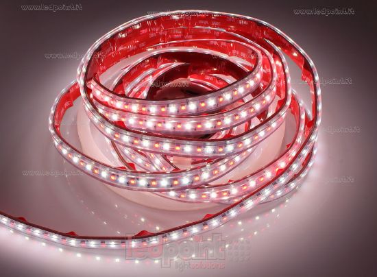 Imagen de Tira de led 5m RGB 3838 + blanco 4000K 3step 2835 140led/m Honglitronic 24V 28,8W/m, IP65 tubo de silicona extruído bordes llenos interior vacío