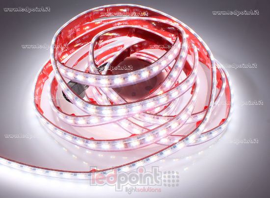Imagen de Tira de led 5m RGB 3838 + CCT 2835+2835, 2600-6500K 210led/m 24V 14.4+14.4+14.4W/m, IP65 silicona sólida transparente