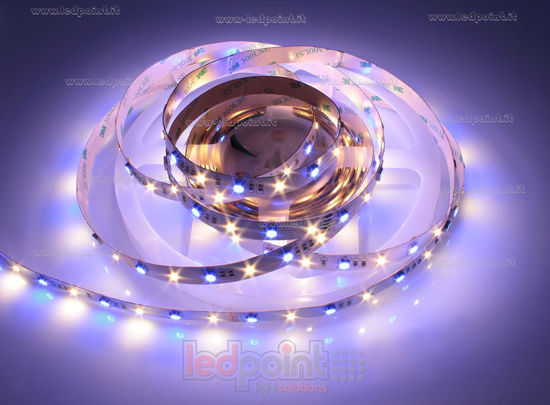 Imagen de Tira de led 5m RGB 5050 + blanco cálido 3000K 3step 2835 56leds/m Honglitronic 24V 11,5W/m