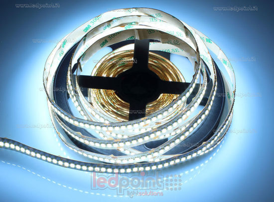 Imagen de Tira de led 4,575mblanco frío 6300-6800K 2835 240led/m 24V 19,2W/m