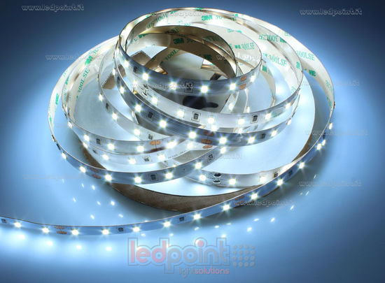 Imagen de Tira de led 5m blanco frío 6000-6500K 2835 60led/m Honglitronic 24V 14,4W/m