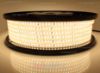 Imagen de Tira de led 50m led blanco cálido 3000K 2835 120led/m 230V 16,5W/m, IP65 tubo de silicona extruído bordes llenos interior vacío