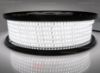 Imagen de Tira de led 50m led blanco 4000K 2835 120leds/m 230V 16,5W/m, IP65 tubo de silicona extruído bordes llenos interior vacío