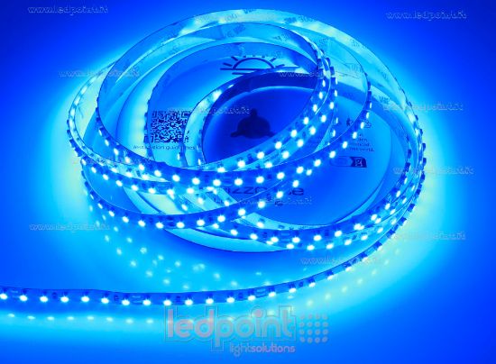 Imagen de Tira de led 5m azul 3528 120led/m 24V 9,6W/m