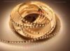 Imagen de Tira de led 5m Digital CCT 3000-6500K 2835 120led/m 20 píxeles/m 24V 13,3W/m