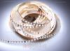 Imagen de Tira de led 5m Digital CCT 3000-6500K 2835 120led/m 20 píxeles/m 24V 13,3W/m