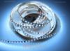 Imagen de Tira de led 5m Digital CCT 3000-6500K 2835 120led/m 20 píxeles/m 24V 13,3W/m