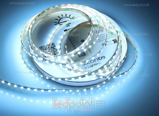 Imagen de Tira de led 5m blanco cálido 6500K 3step 2835 120led/m Honglitronic 12V 10W/m, PCB 5mm