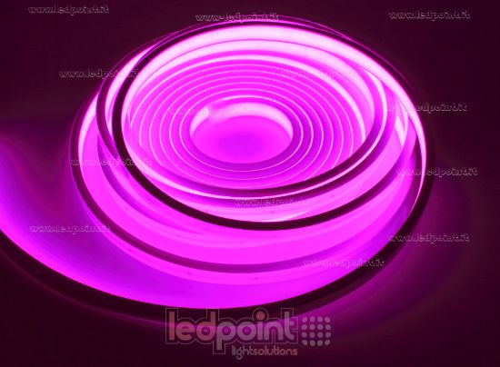 Imagen de Tira de led 5m rosa 2025 264leds/m 24V 12W/m, IP67 silicona sólida blanco