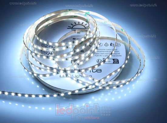 Imagen de Tira de led 5m blanco frío 6000-6500K 3step 2835 120led/m Honglitronic 24V 10W/m, PCB 5mm
