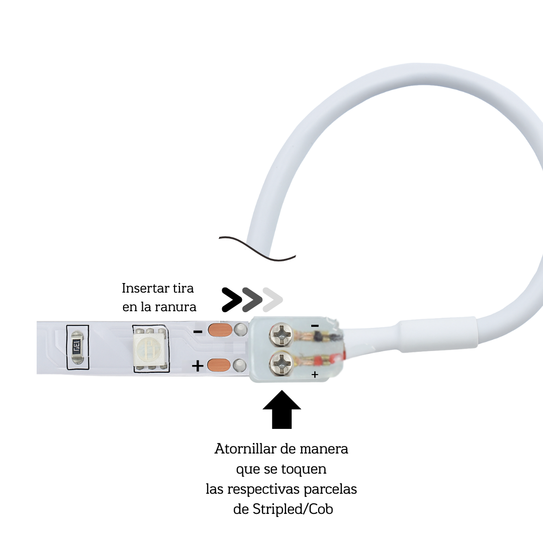 Conector con cable de 20cm para tiras de led COB 230V PCB 8mm CM-230-CCO-W20-8