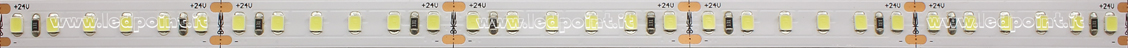 Tira de led 2835 24V IP20 10000-12000K 120led/m F52-1000-120822/14.4 Tira de led 2835 24V IP20 10000-12000K 120led/m F52-1000-120822/14.4