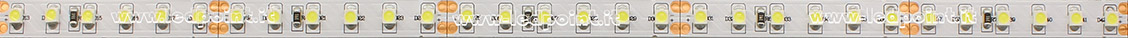 Tira de led 3528 24V IP20 6000-6500K 120led/m Fx2-600-120322-K1