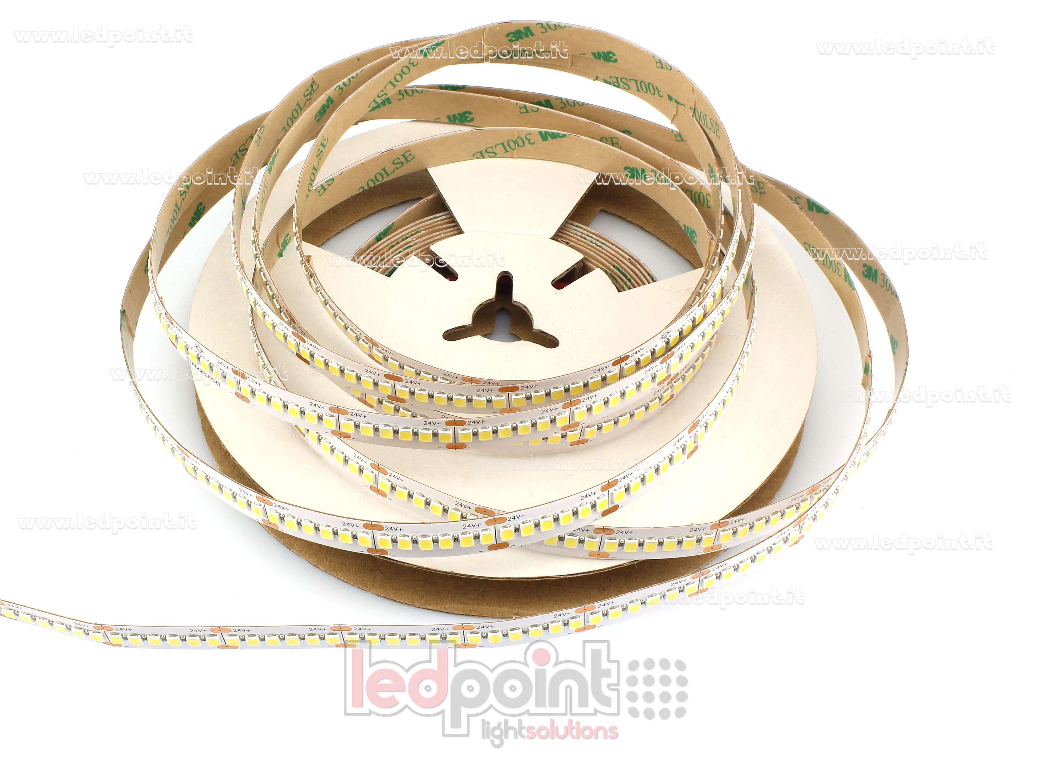 Tira de led 2835 24V IP20 6100-6600K 240led/m Fx2-610-240DF2-1.125