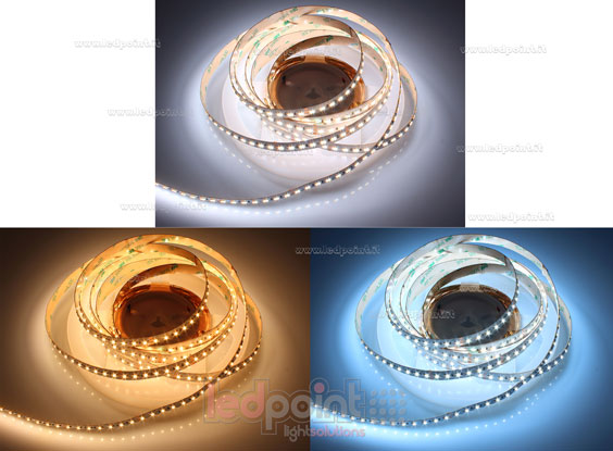 Tira de led 2016 24V IP20 2600-6500K 126+126led/m F52-CCT-252F12