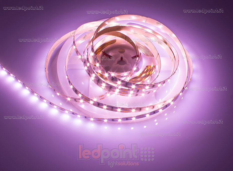 Tira de led 2835 12V IP20 - 60led/m F52-FFOO-060811